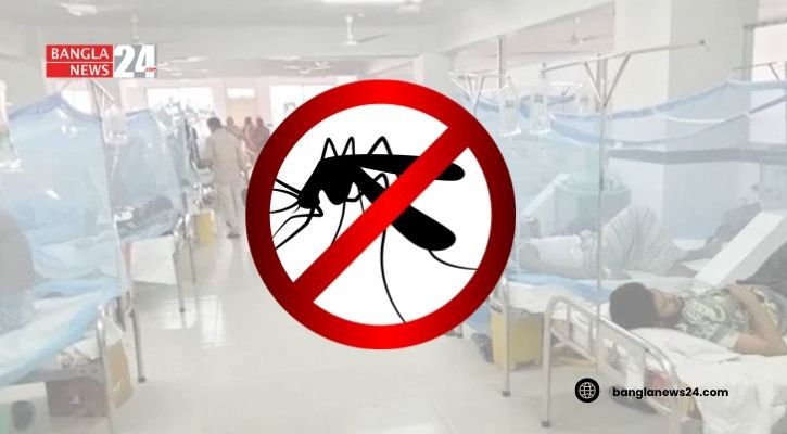 ডেঙ্গু আক্রান্ত হয়ে হাসপাতালে ভর্তি ৮৭