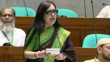 সামষ্টিক চাপে বাজেট বাস্তবায়ন নিয়ে রুমিন ফারহানার প্রশ্ন