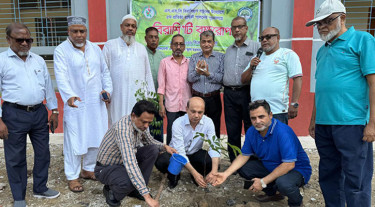এসএসসি বিরাশিয়ান বন্ধুদের উদ্যোগে বৃক্ষরোপণ কর্মসূচি