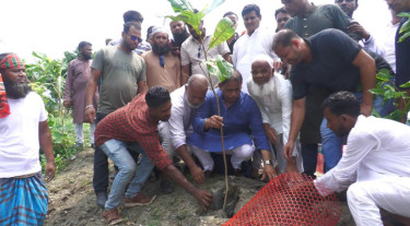 ২৫ কোটি বৃক্ষরোপণে বদলে যাবে পরিবেশের চিত্র: খোকন তালুকদার