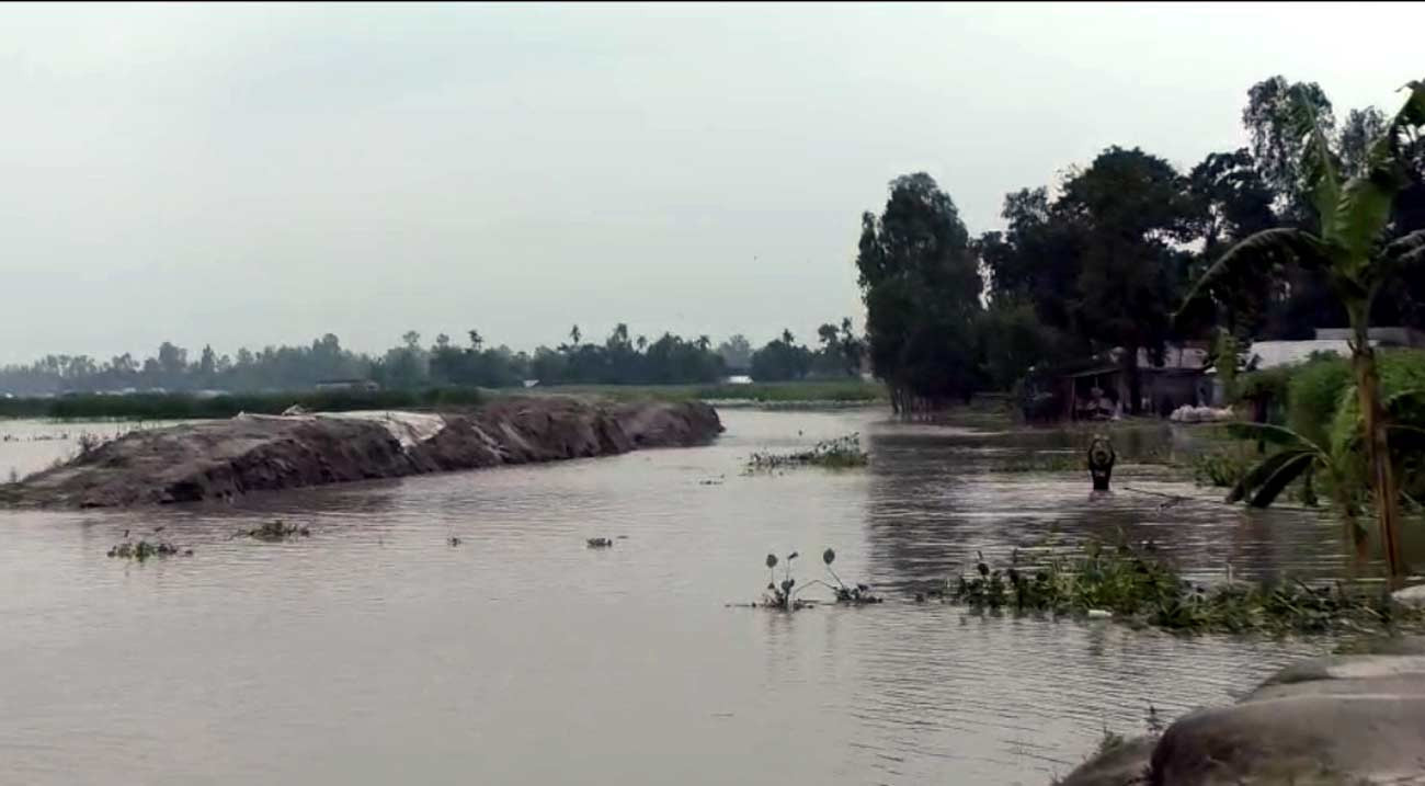 কুড়িগ্রামে তিস্তার পানি বিপৎসীমা ছুঁইছুঁই, দুশ্চিন্তায় চরাঞ্চলের কৃষক