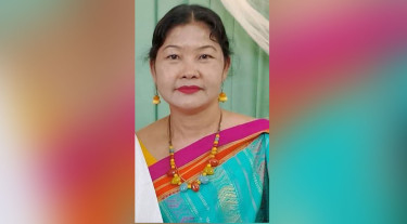 নানিয়ারচরে জাম পাড়তে গিয়ে বিদ্যুৎস্পৃষ্ট হয়ে শিক্ষিকার মৃত্যু