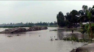 কুড়িগ্রামে তিস্তার পানি বিপৎসীমা ছুঁইছুঁই, দুশ্চিন্তায় কৃষক