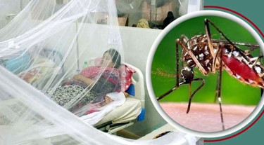 ২৪ ঘণ্টায় ডেঙ্গুতে দুই জনের মৃত্যু, হাসপাতালে ভর্তি ২২০