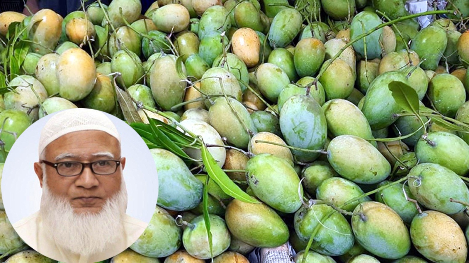 সংসদে স্পিকার থেকে পিয়ন, সবার হাতে উপহারের আম