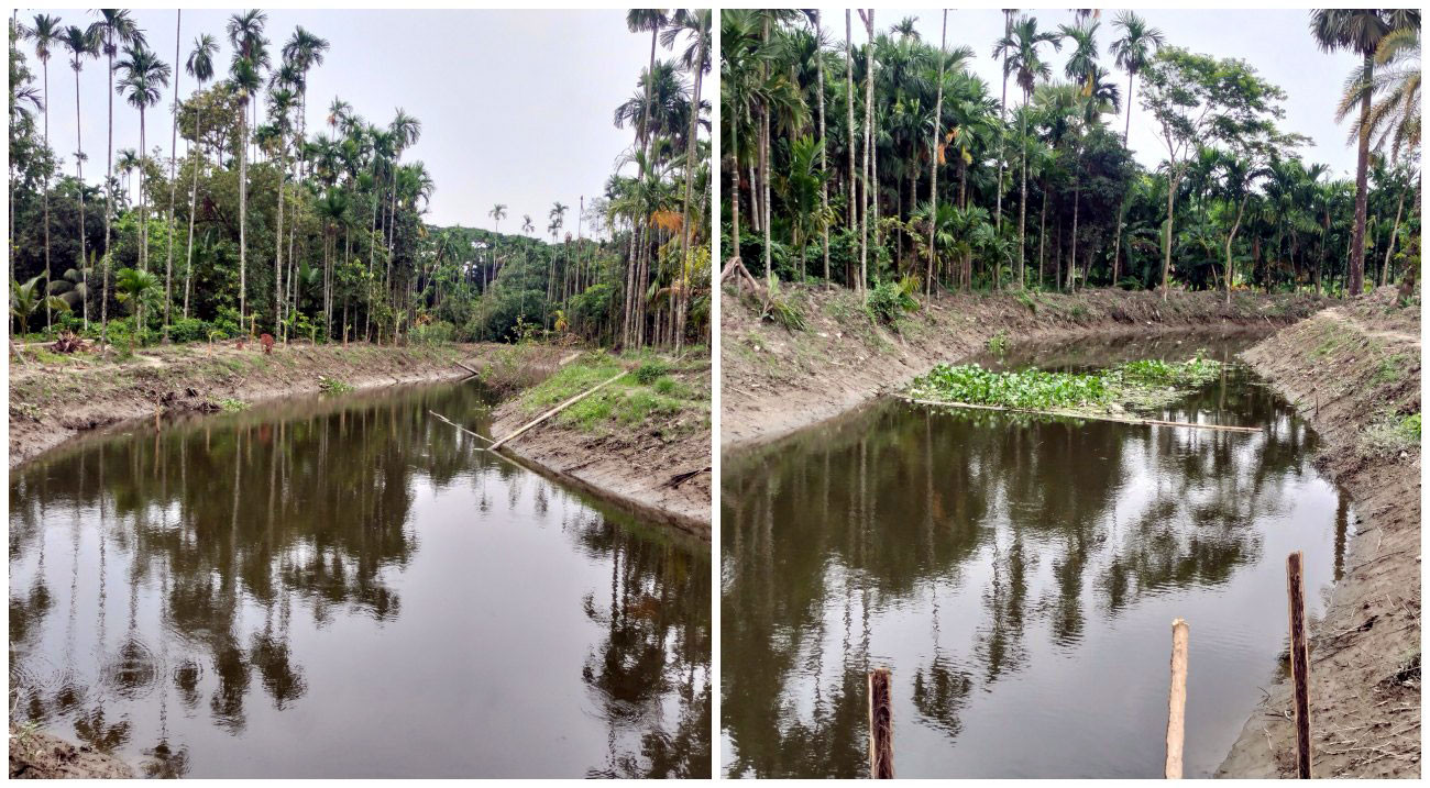 ভোলায় খাল খননে বাড়ছে পানি প্রবাহ, স্বপ্ন দেখছেন কৃষকরা