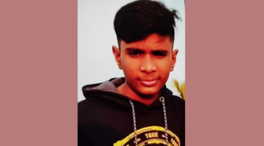 ইটের আঘাতে অবশেষে থেমে গেল রাফির জীবন