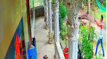 রামগঞ্জে বড় ভাইয়ের বাড়ি লক্ষ্য করে ছোট ভাইয়ের গুলিবর্ষণ