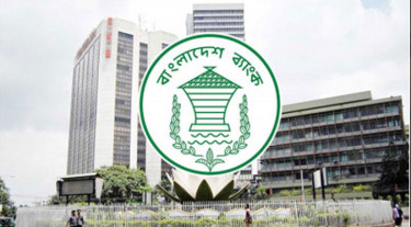 স্থানীয় এজেন্টদের সংগৃহীত ভিসা ফি প্রেরণের অনুমতি মিলল