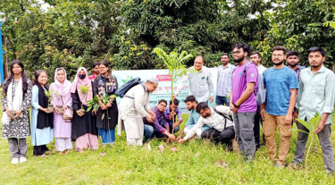জাবিপ্রবি ক্যাম্পাসে সবুজে সুন্দর আগামী গড়ার বার্তা