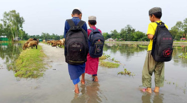 বিপৎসীমার ওপরে তিস্তার পানি, লালমনিরহাটে বন্যা শঙ্কা