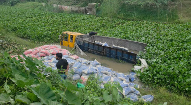 ব্রাহ্মণবাড়িয়ায় সিমেন্টবোঝাই ট্রাক খাদে, নিহত ১