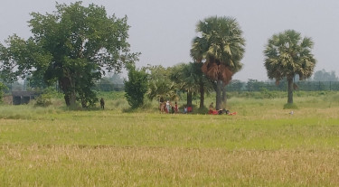 নওগাঁ সীমান্তে ৯ জনকে পুশ-ইনের চেষ্টা