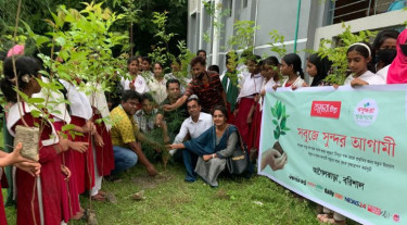 বসুন্ধরা টিস্যু ও শুভসংঘের আয়োজনে আগৈলঝাড়ায় বৃক্ষরোপণ ও চারা বিতরণ