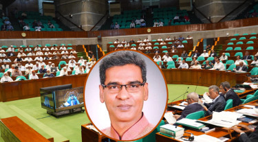 অনেকেই রিকশায় চড়তেন, এখন প্রাডো গাড়িতে চড়ে জুলাই চেতনা বেচেন: বিএনপির এমপি
