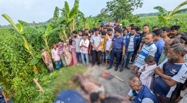 সালথায় সড়কে পড়েছিল যুবকের হাত-পা কাটা লাশ