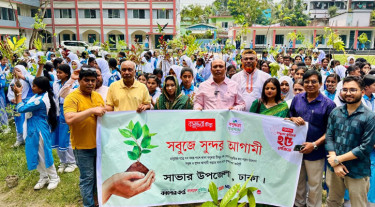 সাভারে বসুন্ধরা টিস্যু-শুভসংঘের উদ্যোগে বৃক্ষরোপণ-চারা বিতরণ