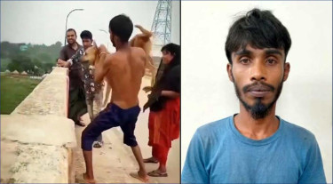 নরসিংদীতে কুকুরের গলায় ইট বেঁধে নদীতে নিক্ষেপ, যুবক আটক