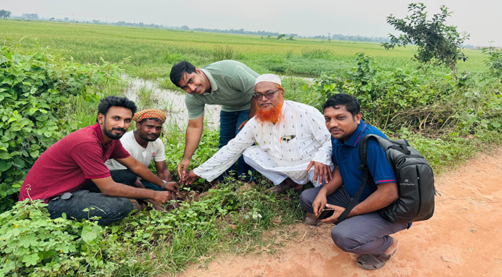গুমাইবিলে ৫০০ কৃষ্ণচূড়ার চারা রোপণ