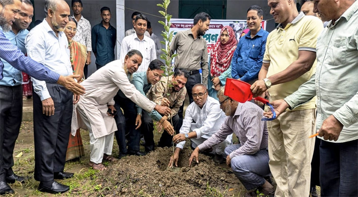 পদুয়া ডিগ্রি কলেজে বৃক্ষরোপণ কর্মসূচি