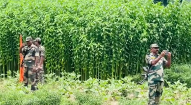 মেহেরপুর সীমান্তে রাস্তার কাজে বিএসএফের বাধা