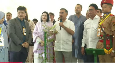 নিমগাছের গল্প শুনিয়ে বৃক্ষরোপণের গুরুত্ব তুলে ধরলেন প্রধানমন্ত্রী