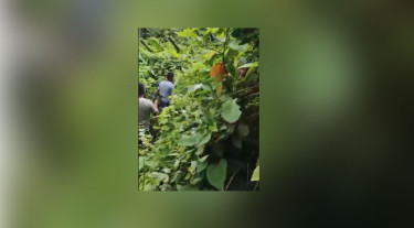 শেরপুর সীমান্তে অনুপ্রবেশের চেষ্টা, ২ জনকে ফেরত পাঠাল বিজিবি