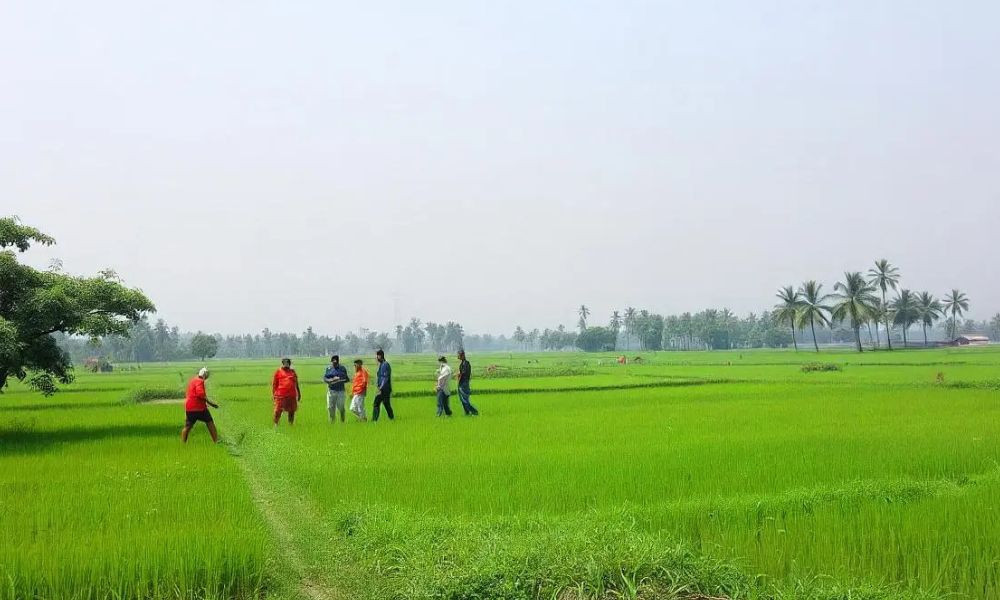 ভূমি অ্যাপে কতটুকু কমবে দুর্নীতি
