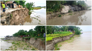 গাইবান্ধায় তীব্র নদী ভাঙনে গৃহহীন ৮ শতাধিক পরিবার
