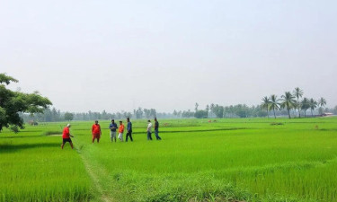 ভূমি অ্যাপে কতটুকু কমবে দুর্নীতি