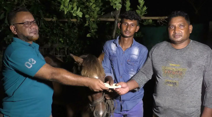 অন্ধ ঘোড়াকে আশ্রয় দিয়ে লালন-পালন, উৎসাহ দিতে তারেক রহমানের পক্ষে আর্থিক সহায়তা