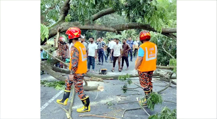 সীতাকুণ্ডে গাছ কেটে সড়ক অবরোধের ঘটনায় মামলা, ২ জন গ্রেপ্তার