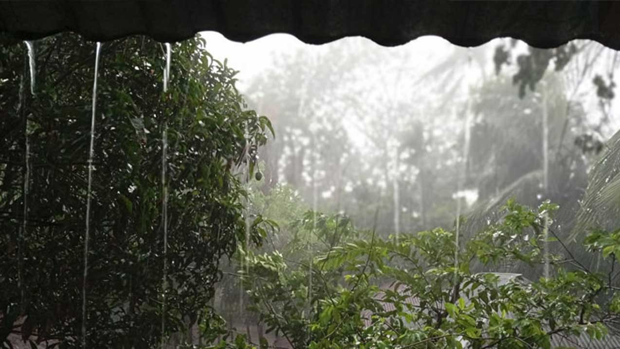 চট্টগ্রাম-সিলেট বিভাগে তুলনামূলক বেশি বৃষ্টি হতে পারে