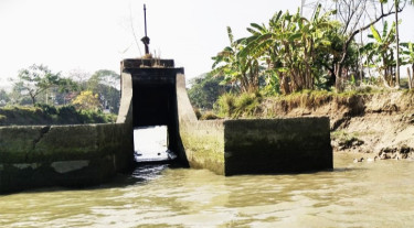 বরিশালে পাউবোর একাধিক সেচ পাম্প হাউজ অচল, প্রভাব ফেলছে কৃষিতে
