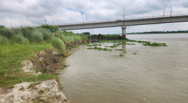 আড়িয়াল খাঁ: শিবচরে সেতুর কাছে ফের ভাঙন