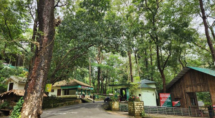 চেক স্টেশন যখন ‘ঘুষের টোল প্লাজা’