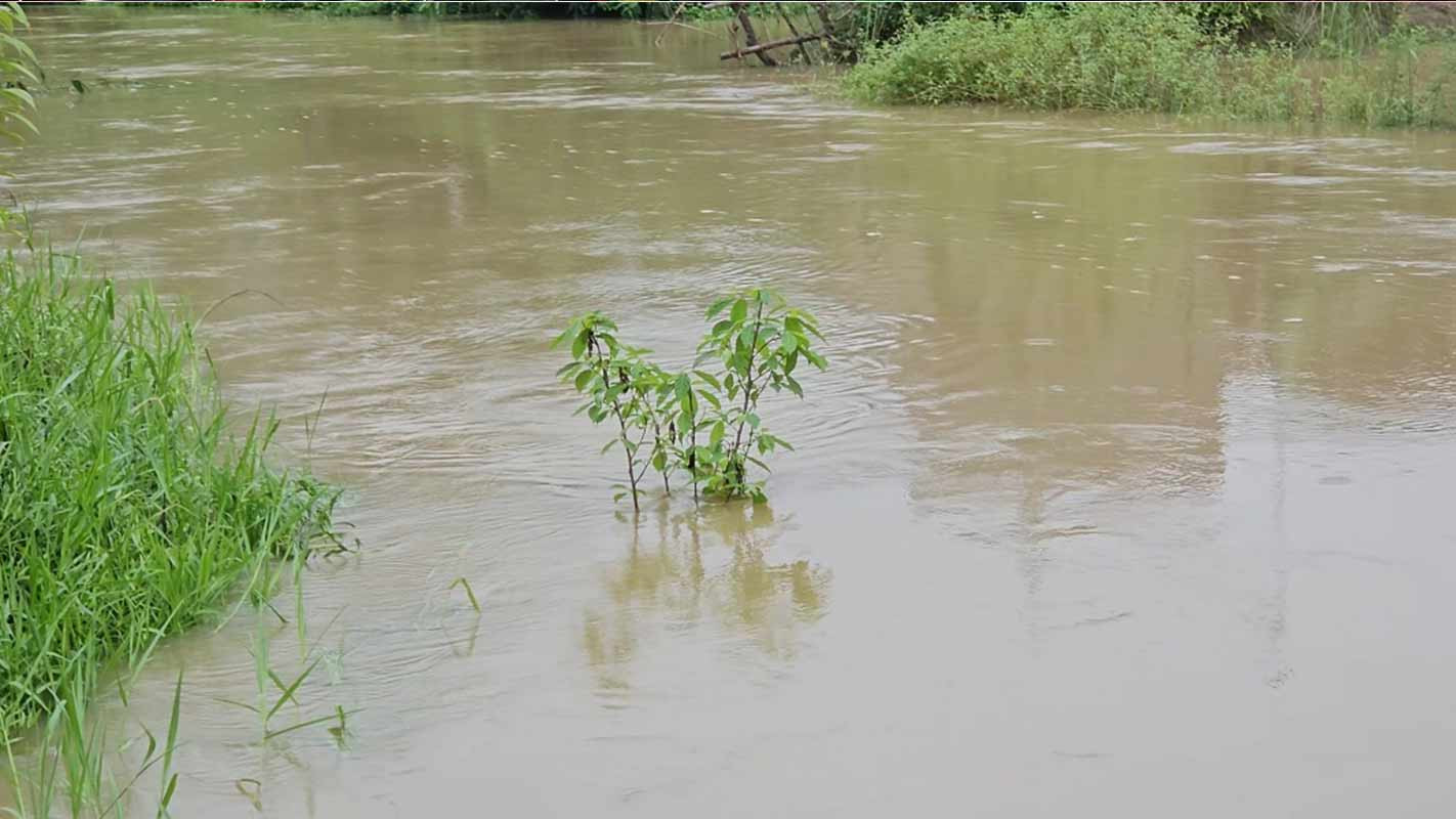 ফেনীতে ৯১ মিলিমিটার বৃষ্টি, বাড়ছে মুহুরীসহ তিন নদীর পানি