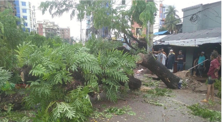 সড়কে কড়ই গাছ, ৩ ঘণ্টা যান চলাচল বন্ধ