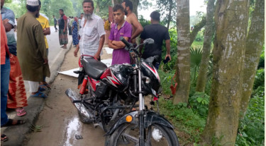চিকিৎসকের কাছে যাওয়ার পথে প্রাণ গেল স্ত্রী-সন্তানের, স্বামী আহত