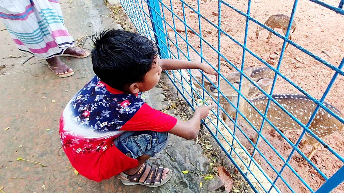 চিড়িয়াখানায় মশার উপদ্রব, বিপাকে দর্শনার্থীরা
