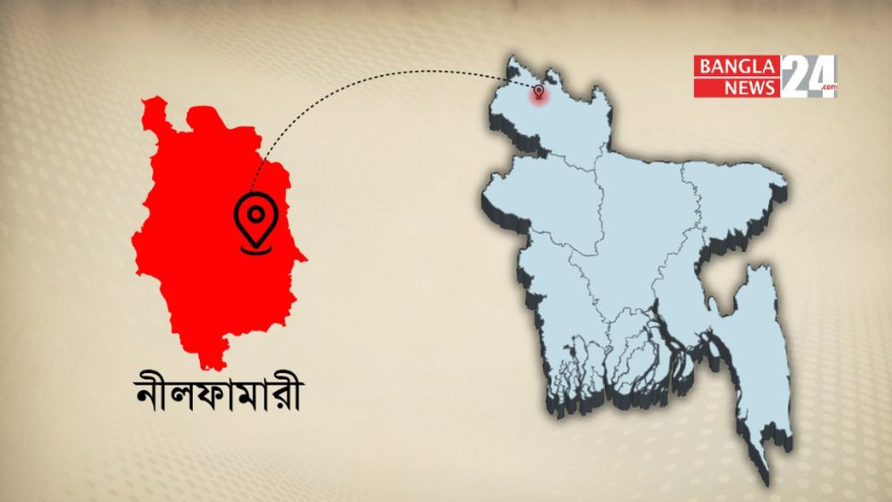 নীলফামারীতে সাপের ছোবলে একজনের মৃত্যু