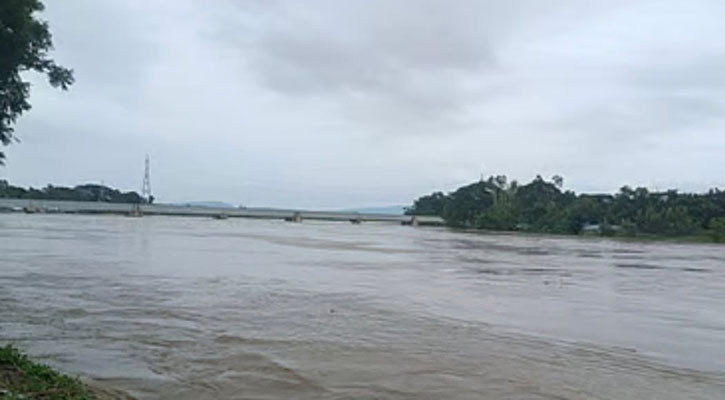 ভেসে আসা কাঠ ধরতে গিয়ে নিখোঁজ যুবদলকর্মী