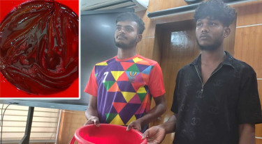 শিবচরে রঙ মিশিয়ে শিং মাছ বিক্রি, দুই ব্যবসায়ীর কারাদণ্ড