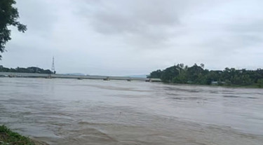 ভেসে আসা কাঠ ধরতে গিয়ে নিখোঁজ যুবদলকর্মী
