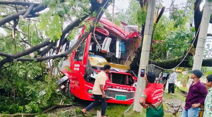 গাছের সঙ্গে বাসের ধাক্কা, চালকসহ ১০ জন আহত
