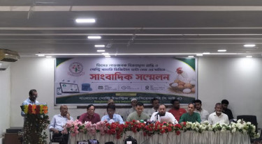 ডিমের লাভজনক বিক্রয়মূল্য-জাতীয় ডিজিটাল ডাটাবেজের দাবি