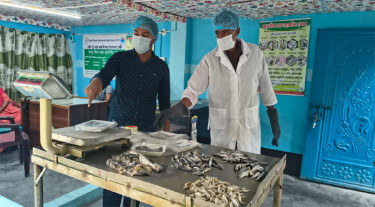 প্রকৌশল শিক্ষার্থী থেকে ‘রেডি টু কুক’ মাছের উদ্যোক্তা