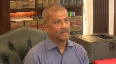 ডিসেম্বর পর্যন্ত অপেক্ষা কেন, এখনই ফিরুন’, হাসিনাকে আসিফ নজরুল