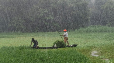 ঢাকায় ৯৭ মিলিমিটার বর্ষণ