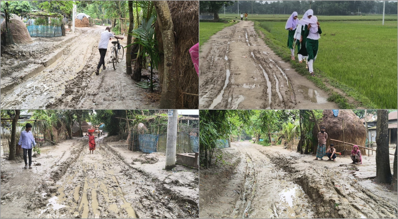 কার্পেটিংয়ের নামে দুই সড়কের ইট উধাও!
